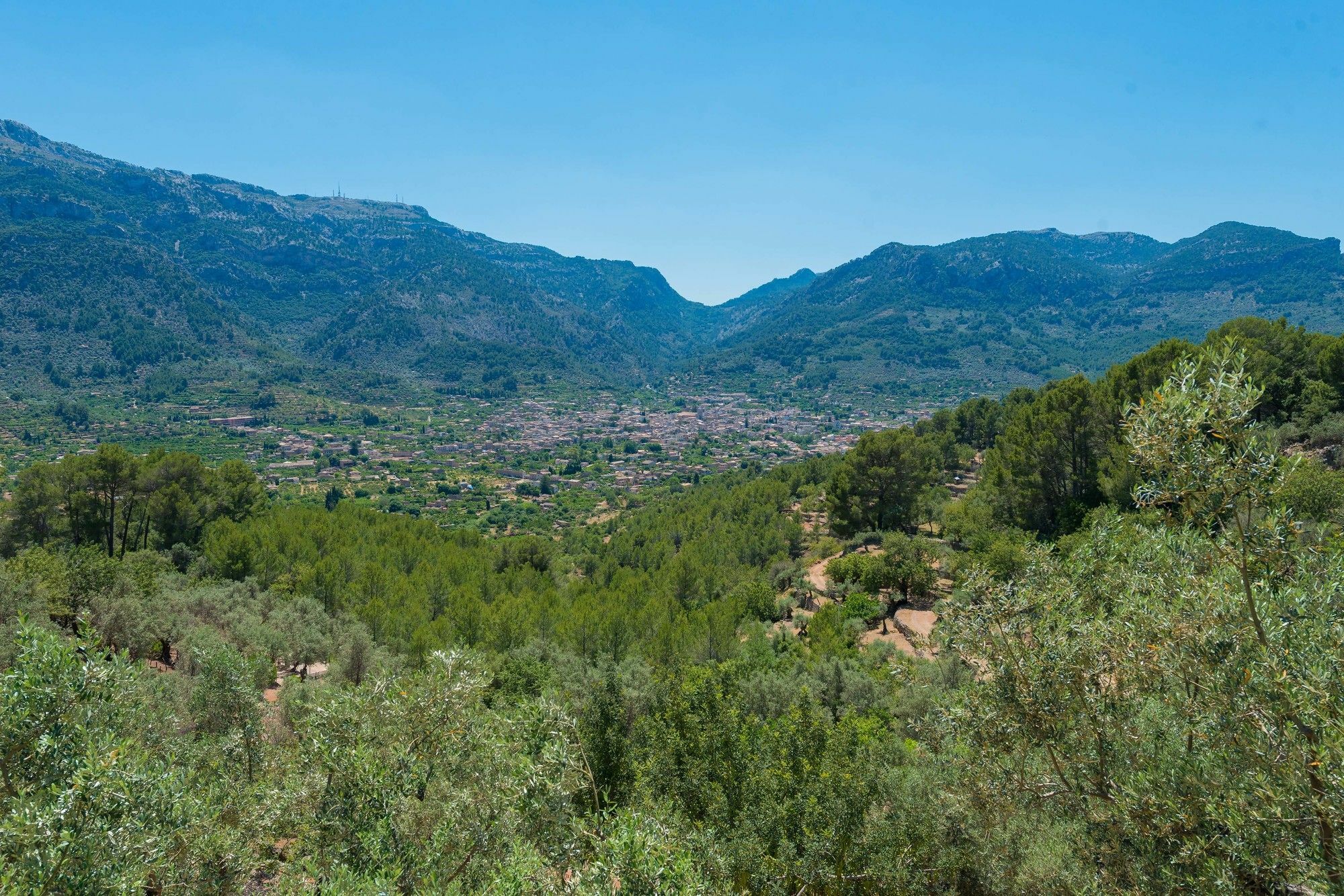 Son Bou Villa Sóller Eksteriør bilde
